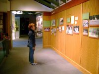 George Bush Library