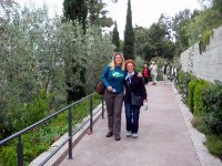 The Getty Villa