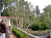 The Getty Villa