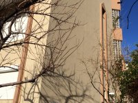 5SIMG_2693