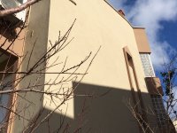 5SIMG_2726