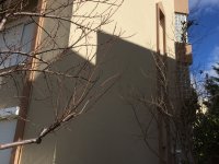 5SIMG_2727