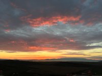 IMG_0955