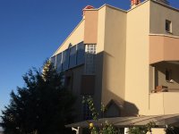 IMG_0969