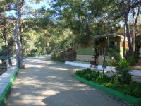 DSC07256