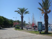 DSC07266