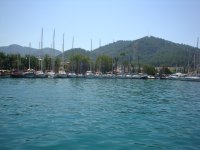 DSC07273