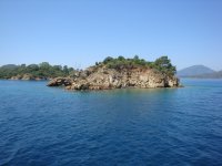 DSC07290
