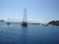 DSC07292