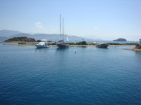 DSC07294