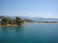 DSC07298