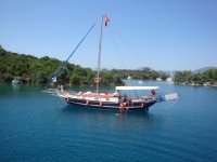 DSC07306