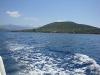 DSC07318