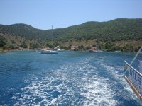 DSC07319