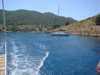 DSC07320