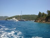 DSC07331