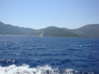 DSC07338