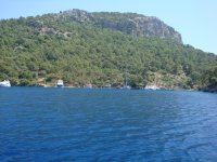 DSC07345