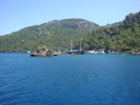 DSC07349
