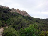 DSC02821
