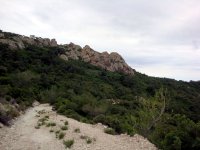 DSC02822