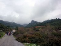 DSC07716