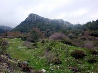 DSC07717