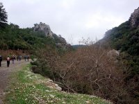 DSC07719