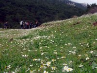 DSC07800