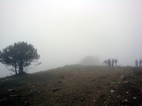 DSC07844