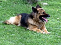 IMG_1581