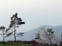 IMG_1628