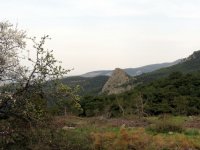 IMG_1630