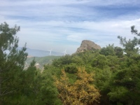 85F9CF71-02D5-429D-A104-7A1EA34BF516