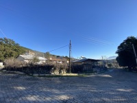 IMG_0300