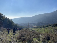IMG_0331