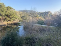 IMG_0352