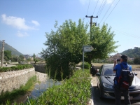 DSC08174