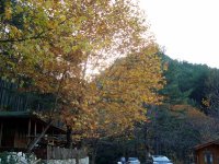 İda Ayazma