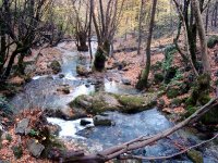 İda Ayazma