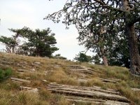 Kaz Dağı