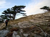 Kaz Dağı