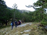 Kaz Dağı