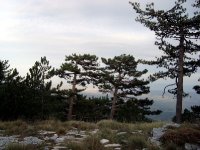 Kaz Dağı