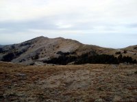 Kaz Dağı