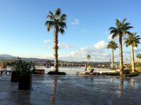 IMG_2501
