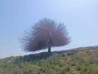 66764406-EDD2-438B-90AD-B769A610E3F9