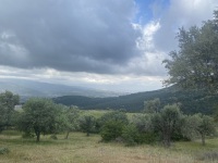 IMG_9347
