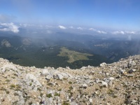 IMG_0005