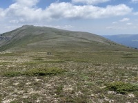 IMG_0020